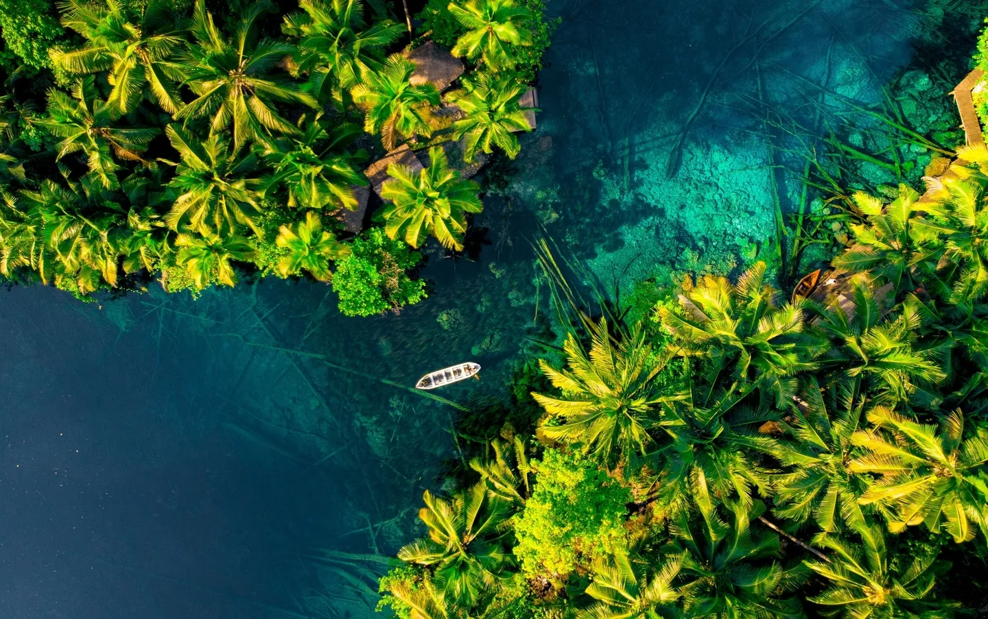 Petualangan Epik di Derawan Labuan Cermin: Snorkeling dan Menyelam Bersama Whaleshark